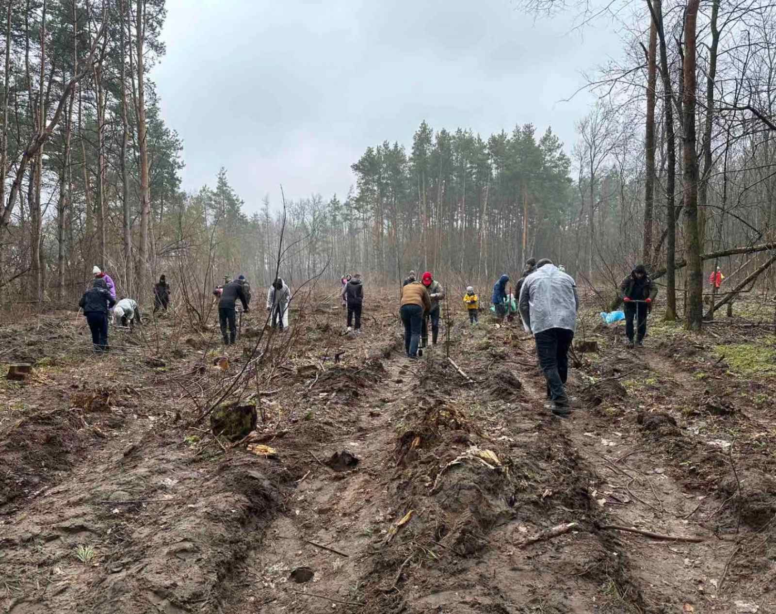 Пинские медработники приняли участие в республиканской акции “Аднавiм лес разам”